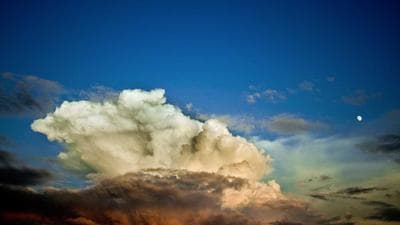 The Science of Procrastination